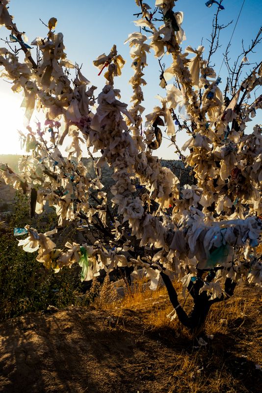Folklore and Fairytale: A Wishing Tree, Goreme, Cappadocia, Turkey