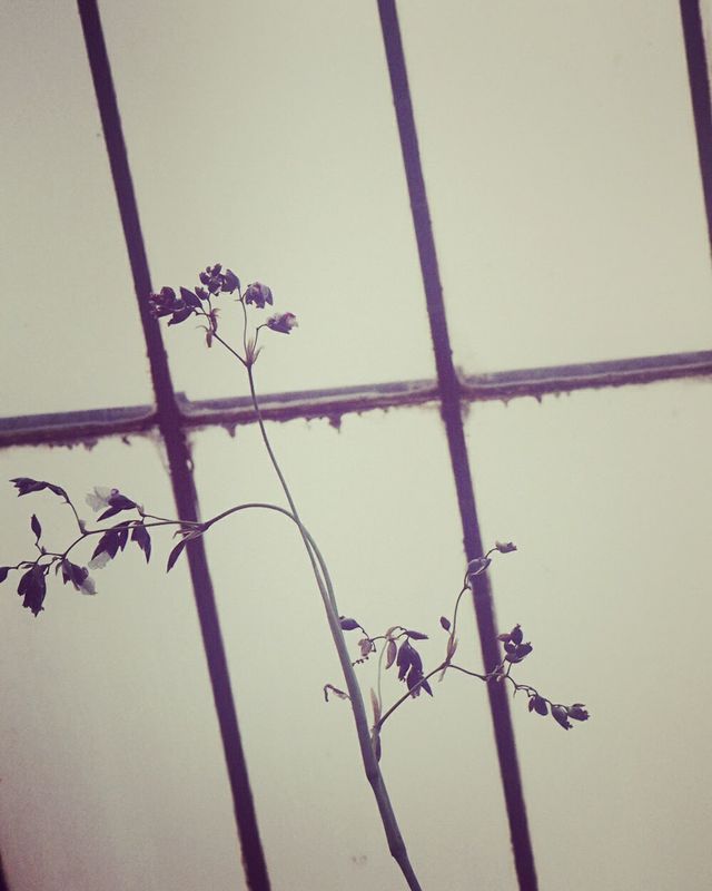 g13/64/477964/2/175356937.6d0f3b99.JPEG