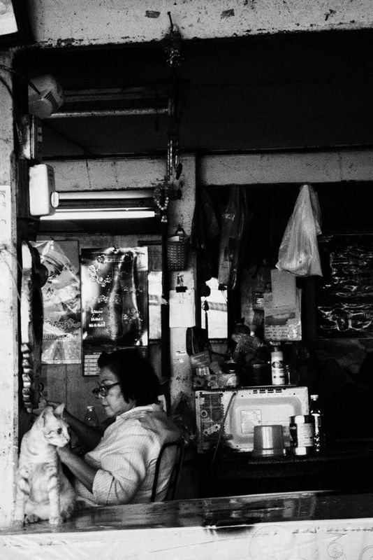 Woman and Cat in a Shop Window, Bangkok, Thailand