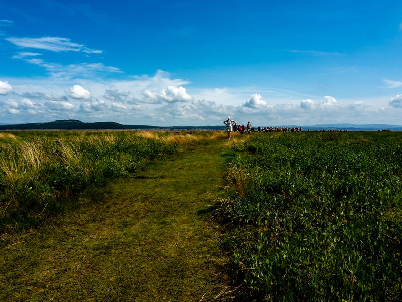 To Dry Land on the Other Side, Grange-over-Sands, UK