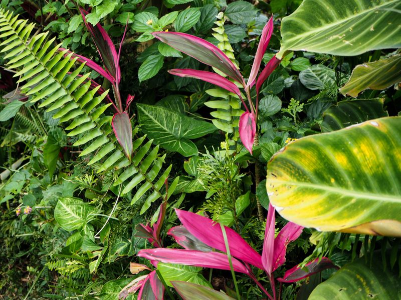 Sarinbuana, Bali, Indonesia