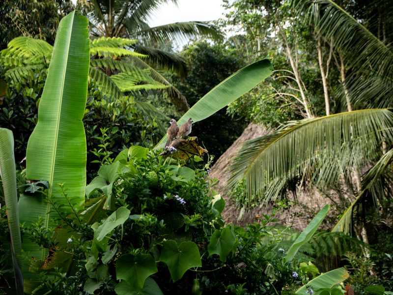 Sarinbuana, Bali, Indonesia