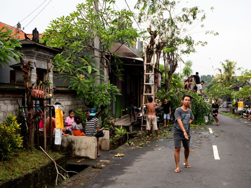 Slowing Down The Traffic, Ubud, Bali, Indonesia