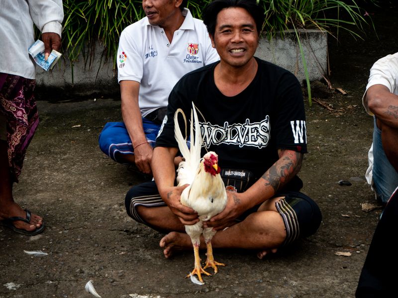 Ready for a Cock Fight, Ubud, Bali, Indonesia