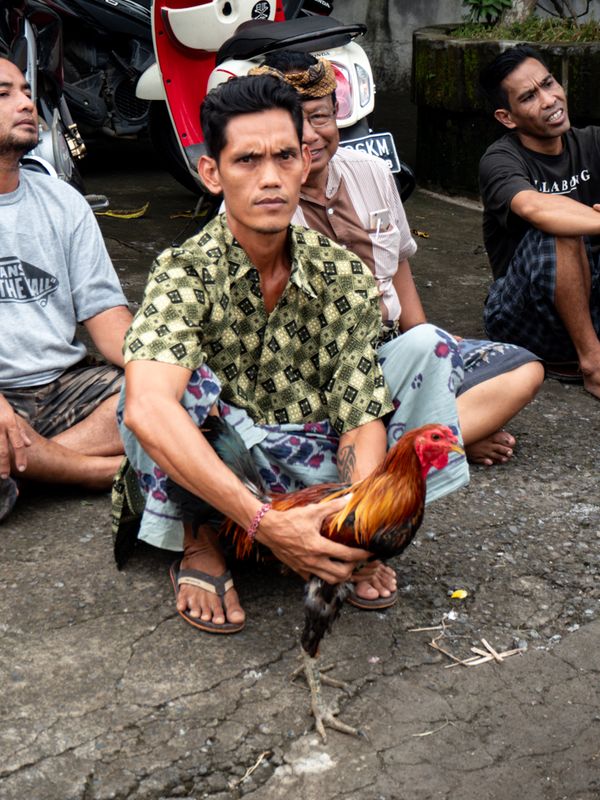 Waiting for the Cock Fight, Ubud, Bali, Indonesia