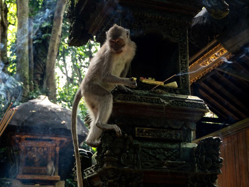 Ubud, Bali, Indonesia