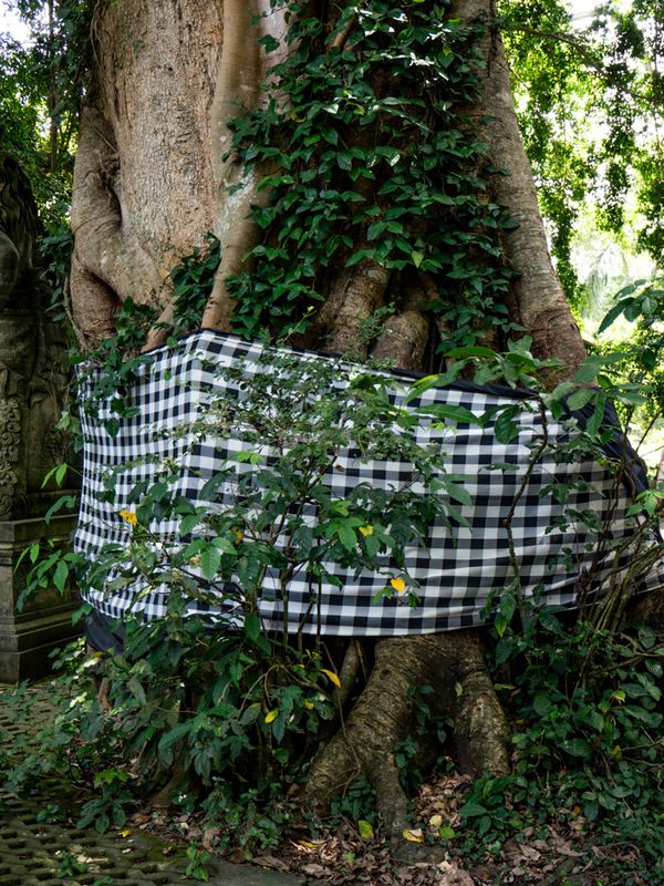 Ubud, Bali, Indonesia