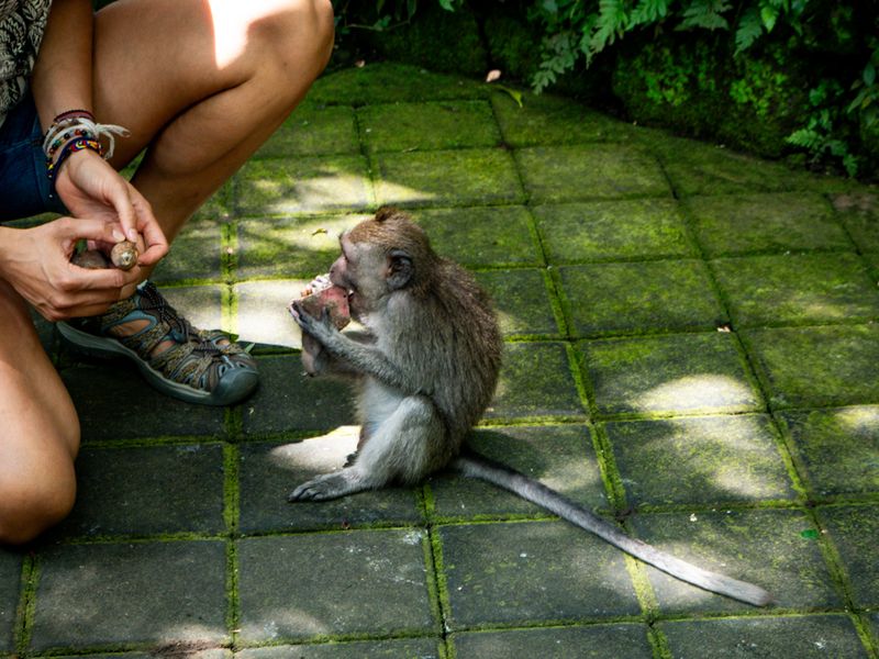 Ubud, Bali, Indonesia