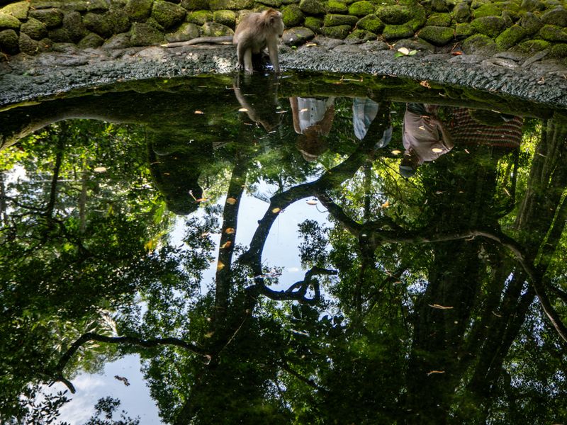 Ubud, Bali, Indonesia
