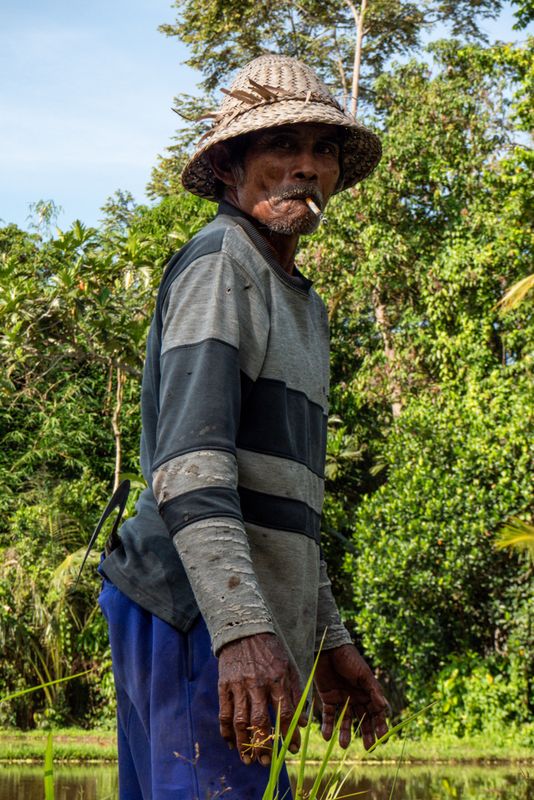 Portrait in the Fields of Ubud, Bali, Indonesia