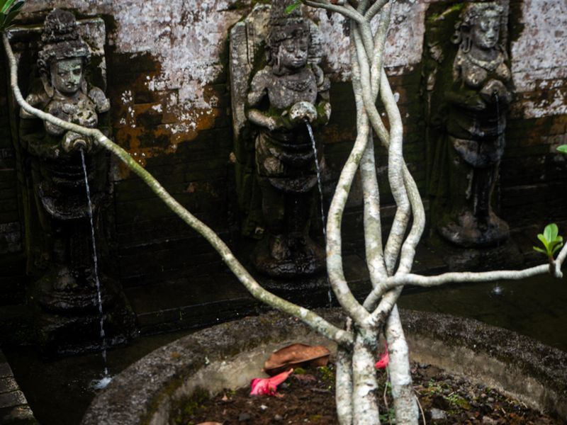 Goddesses and Branches, Goa Gajah, Bali, Indonesia
