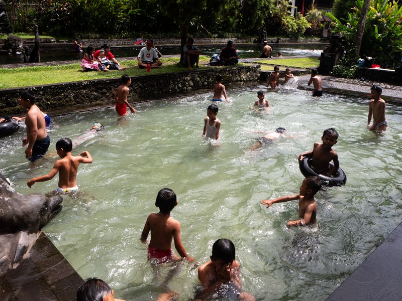 In the Sun They Swim, Tirta Gangga, Bali, Indonesia