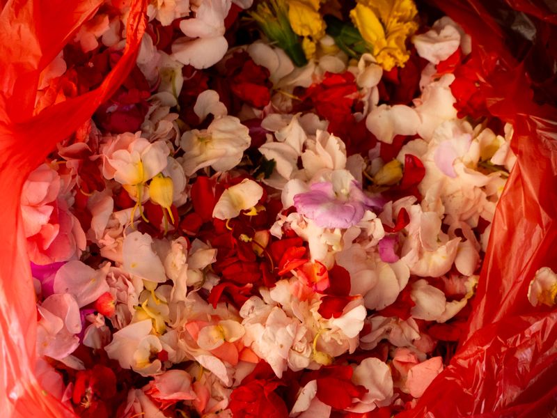 Red Bag of Petals, Bali, Indonesia