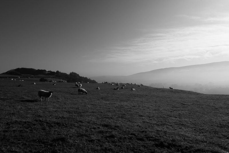 g13/64/477964/2/175401914.d042345e.JPEG