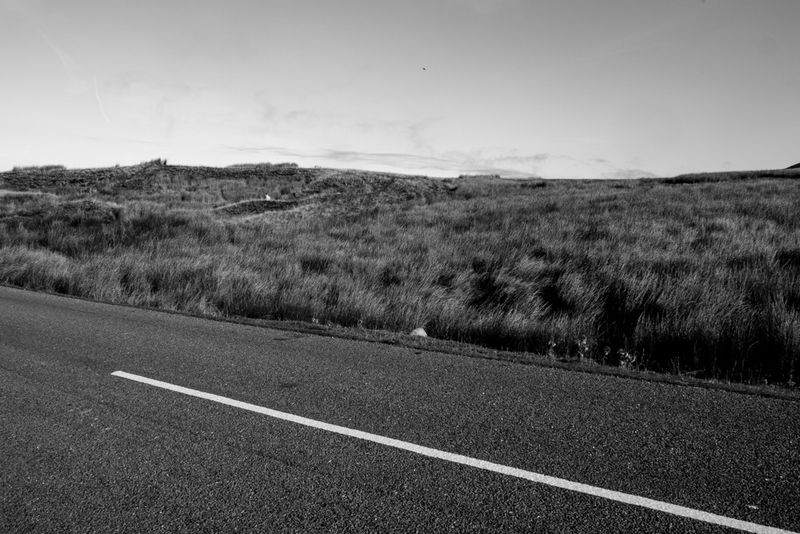 g13/64/477964/2/175401923.53492f32.JPEG