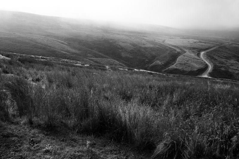 g13/64/477964/2/175401948.5b83e802.JPEG