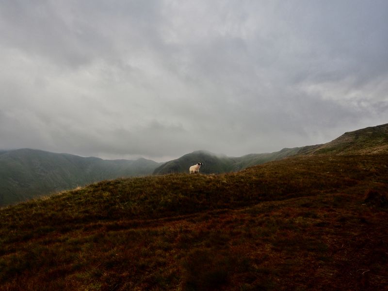 Beda Fell, The Lake District, UK