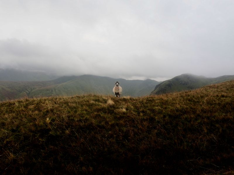 Beda Fell, The Lake District, UK