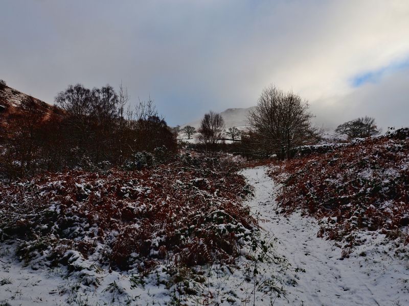 Borrowdale, The Lake District, UK