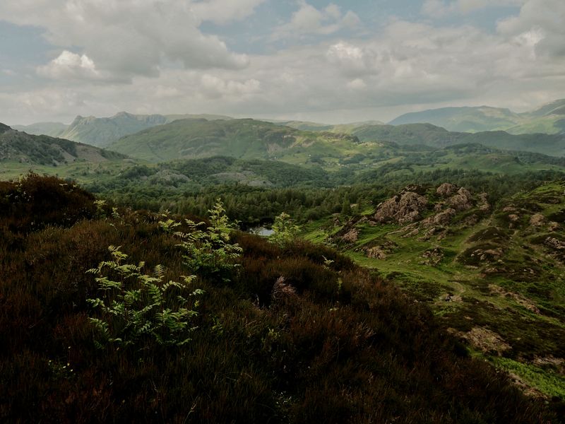 Holme Fell, The Lake District, UK