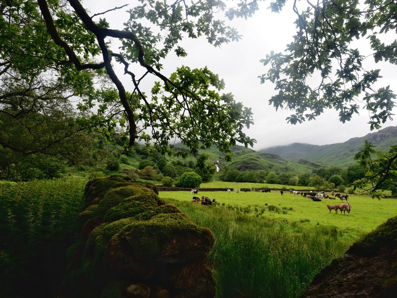 Blea Rigg, The Lake District, UK