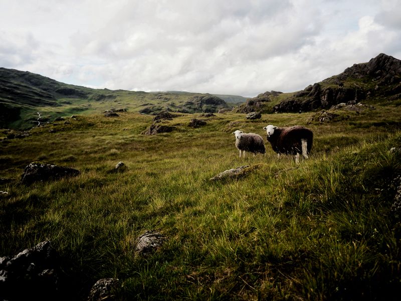 Blea Rigg, The Lake District, UK