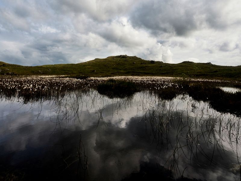 Blea Rigg, The Lake District, UK