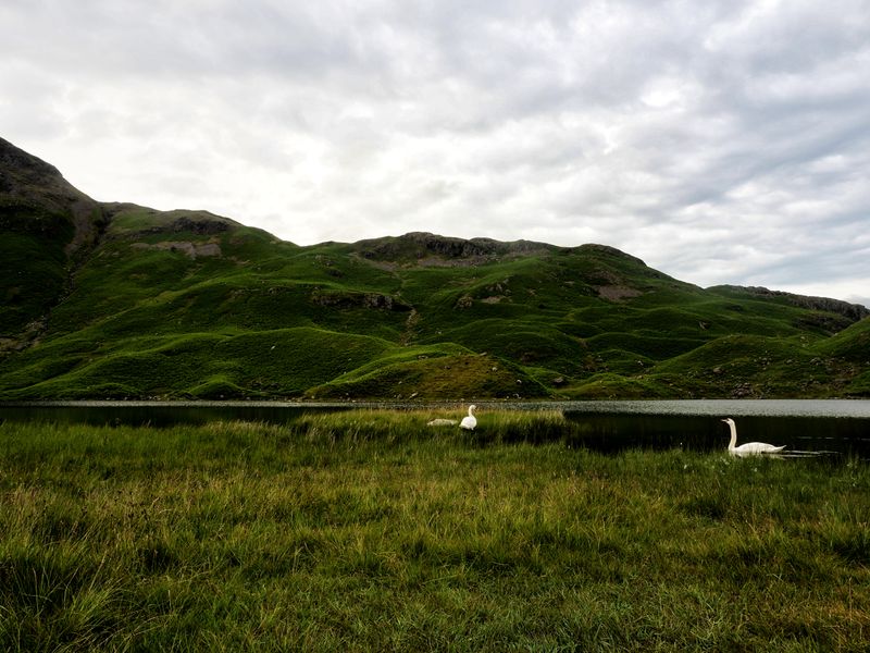 Blea Rigg, The Lake District, UK