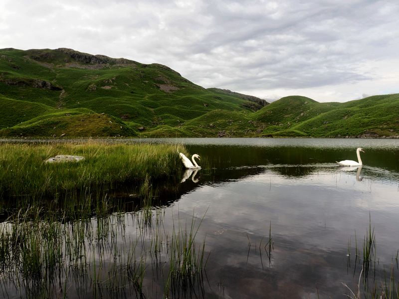 Blea Rigg, The Lake District, UK