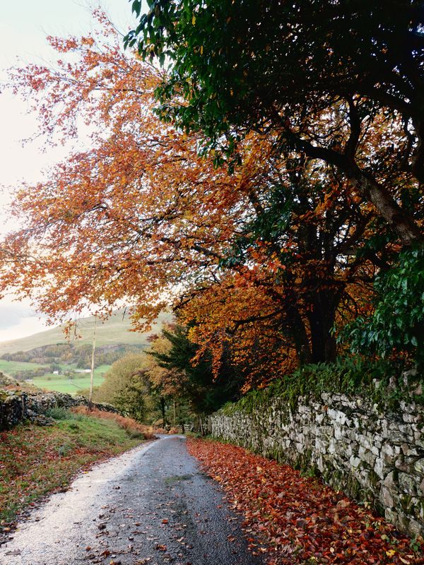 High Rigg, The Lake District, UK
