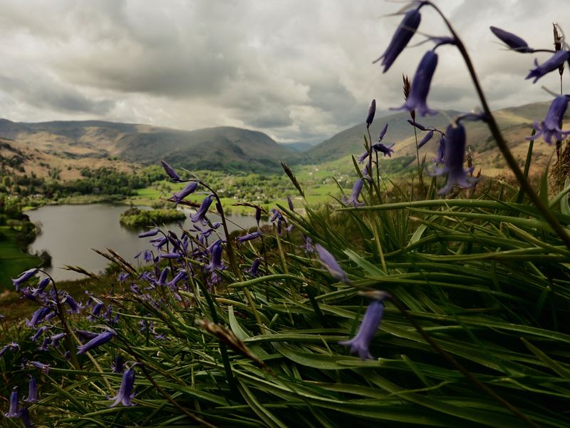 Loughrigg Fell, The Lake District, UK