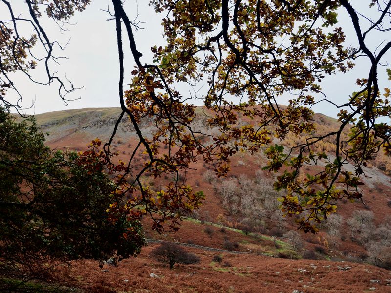 Sheffield Pike, The Lake District, UK
