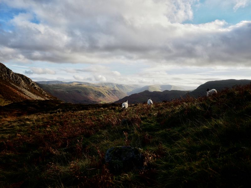 Glenridding Dodd, The Lake District, UK