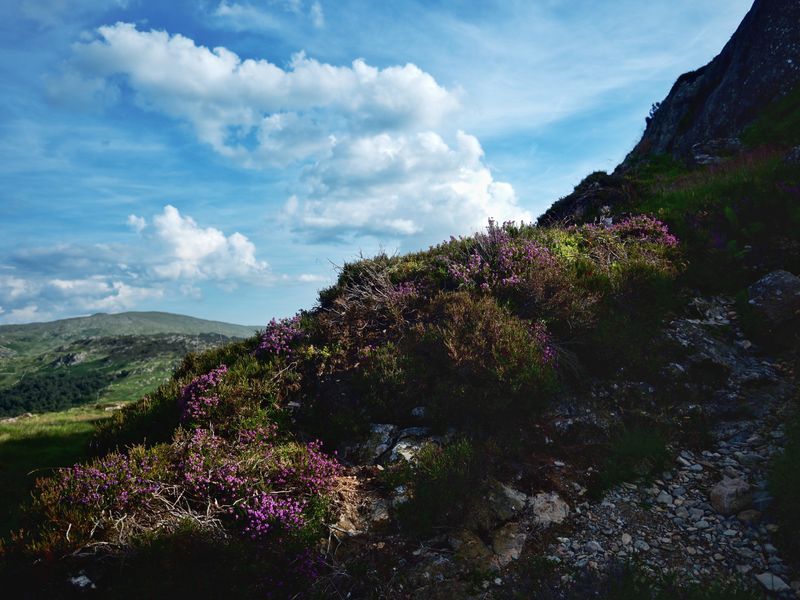 Grange Fell, The Lake District