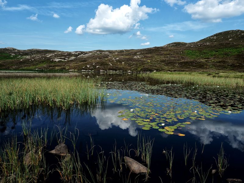 Dock Tarn, Great Crag, The Lake District, UK