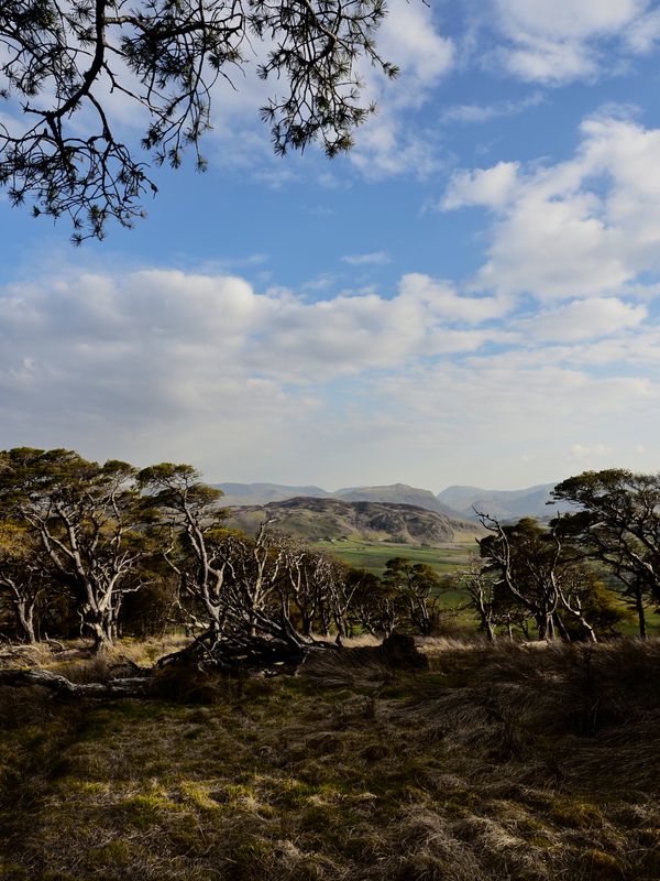 Great Mell Fell, The Lake District, UK