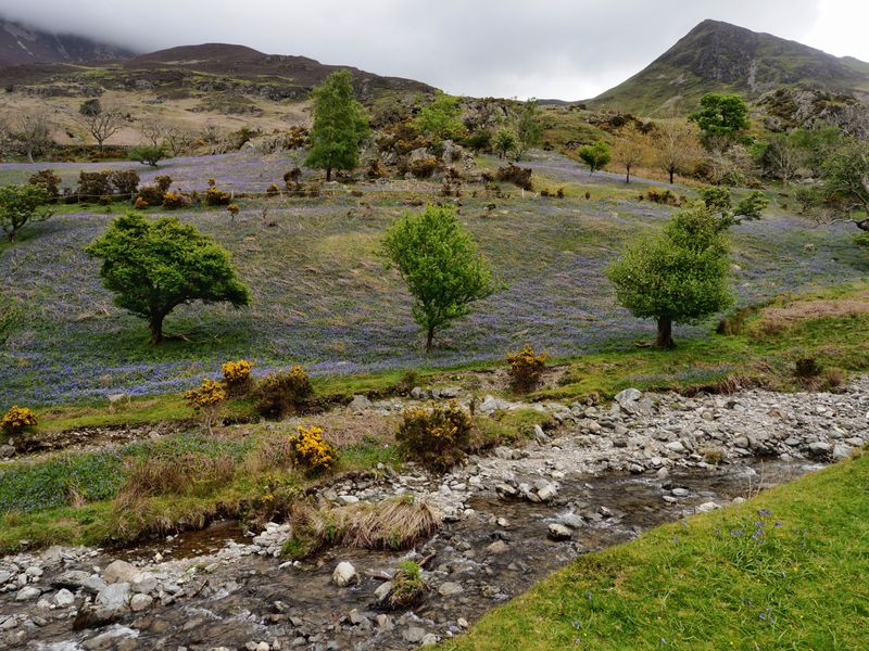 Rannerdale Knotts, The Lake District, UK
