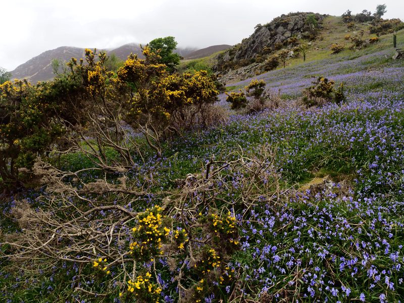 Rannerdale Knotts, The Lake District, UK