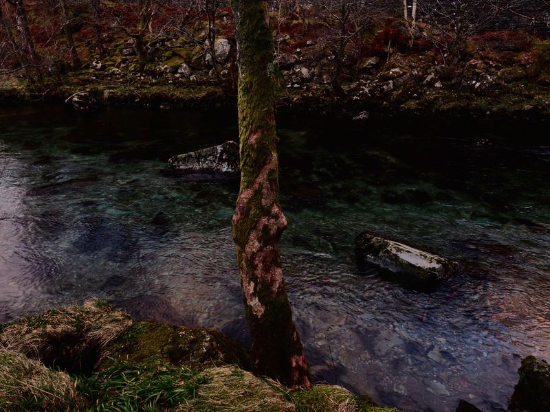 Castle Crag/Rosthwaite, The Lake District, UK