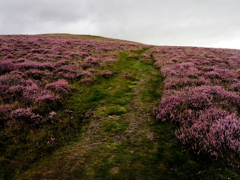Ling Fell, The Lake District, UK
