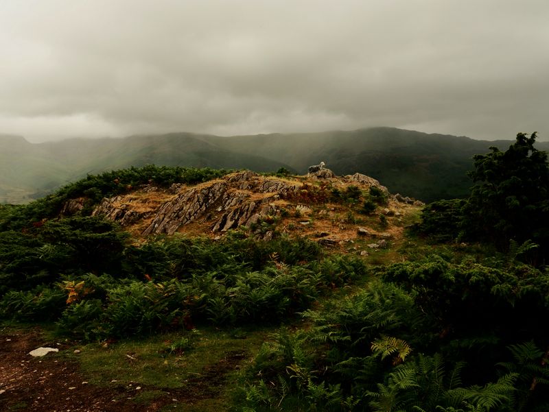 Silver Howe, The Lake District, UK
