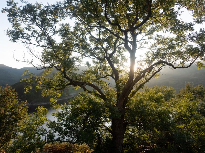 Branstree, The Lake District, UK