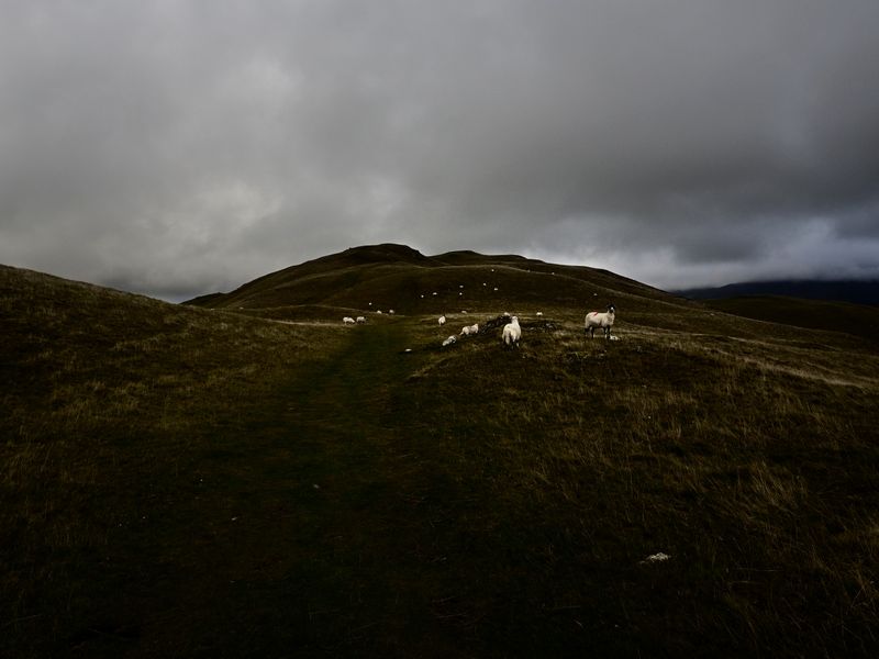 Sale Fell, The Lake District, UK