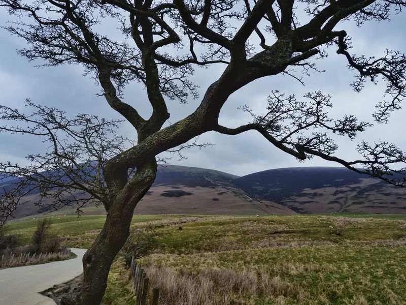 Skiddaw Little Man, The Lake District, UK
