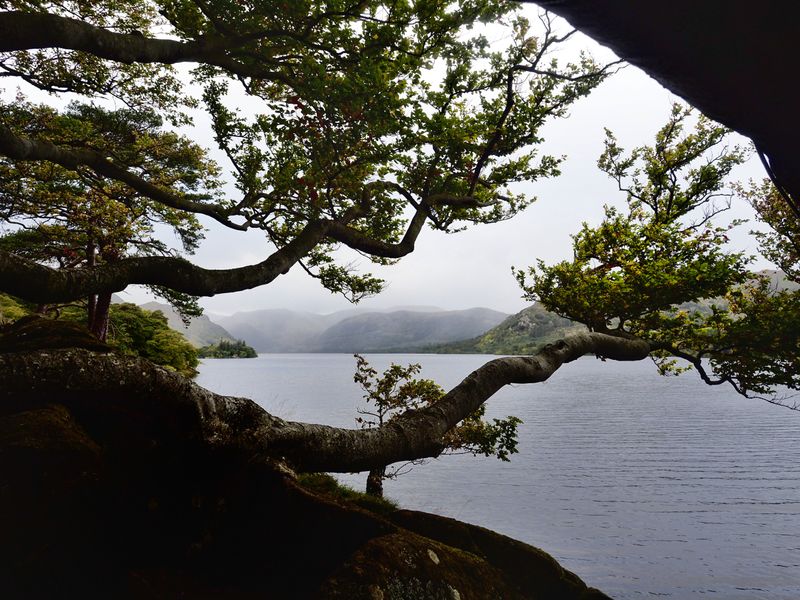 Hallin Fell, The Lake District, UK