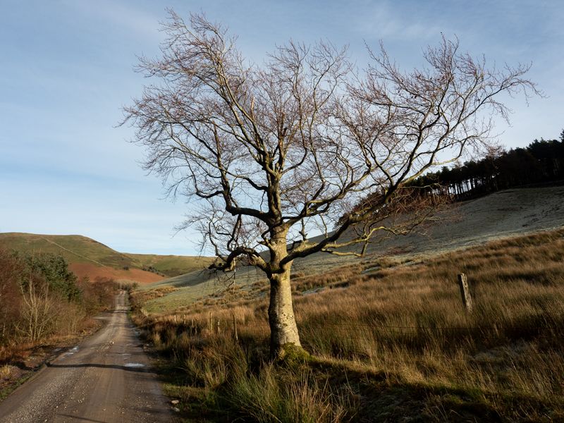 Graystones, The Lake District, UK