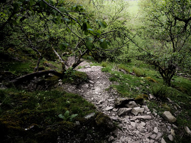 Hartsop Above How, The Lake District, UK