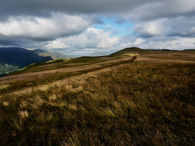 Broom Fell, The Lake District, UK