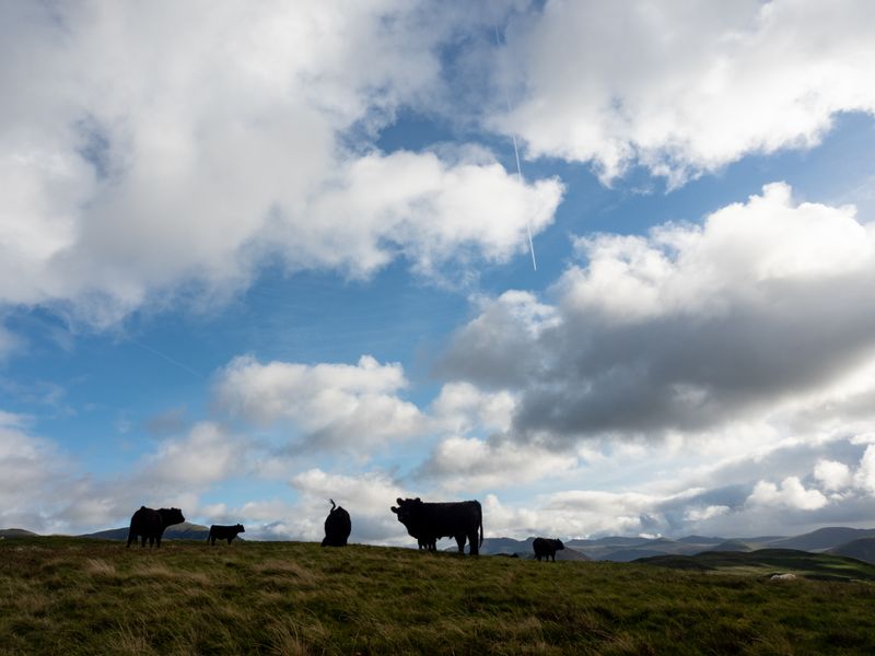 Fellbarrow, The Lake District, UK