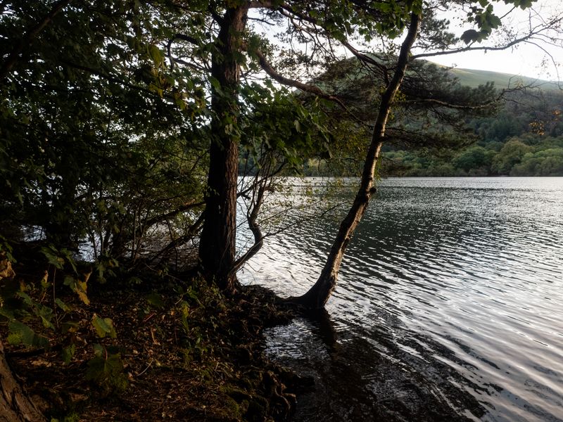 Low Fell/Loweswater, The Lake District, UK
